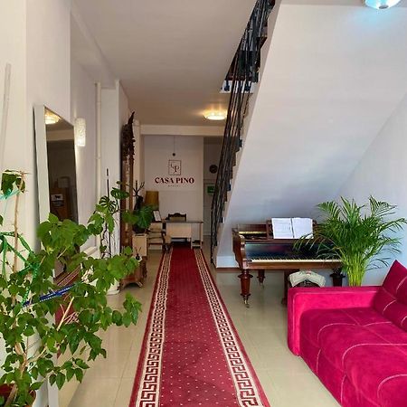 Casa Pino Hotel Braşov Buitenkant foto