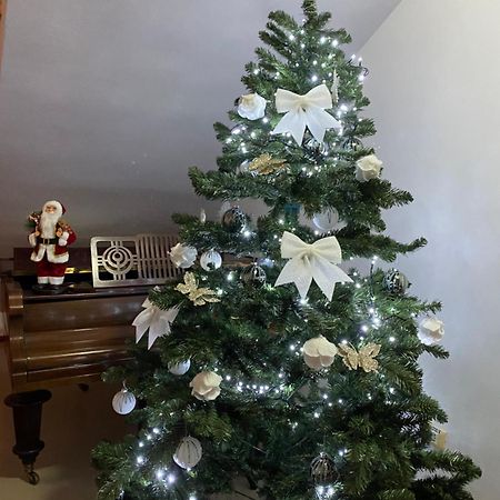 Casa Pino Hotel Braşov Buitenkant foto
